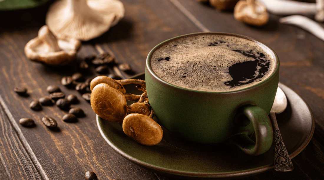 Lush: Coffee for Free in Vegan Pop-Up Coffee Shop #carrythecup -  vegconomist - the vegan business magazine